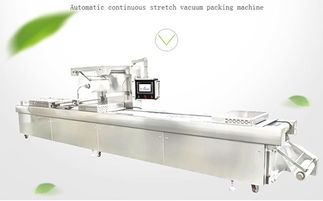 米磚食品包裝機(jī)械控制繼電器的安裝與維護(hù)指南